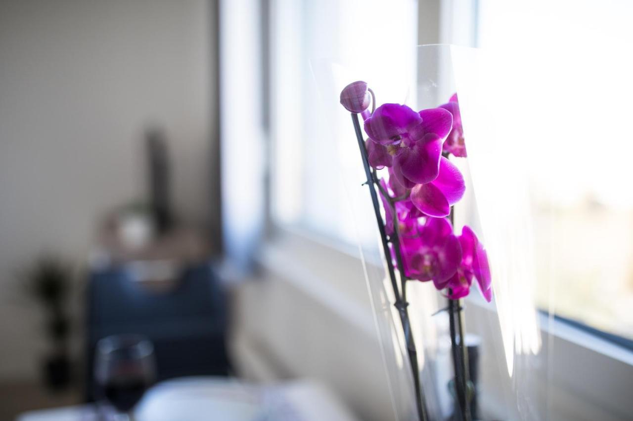 Studio Apartman Moonlight Zadar Dış mekan fotoğraf