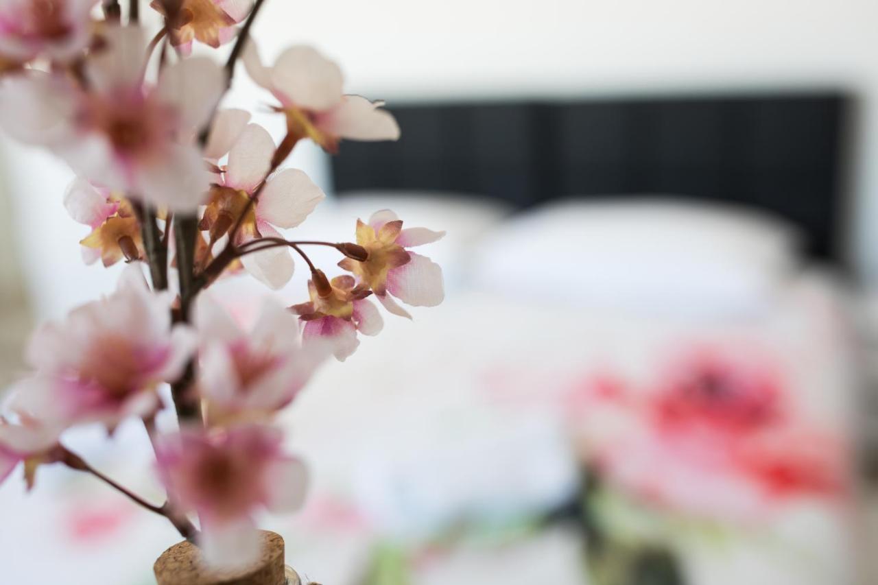 Studio Apartman Moonlight Zadar Dış mekan fotoğraf