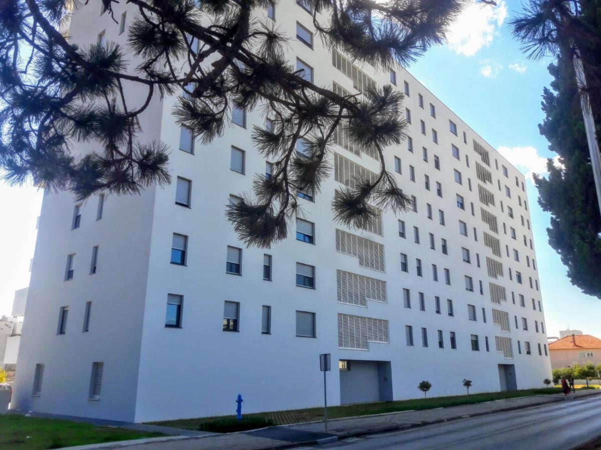 Studio Apartman Moonlight Zadar Dış mekan fotoğraf