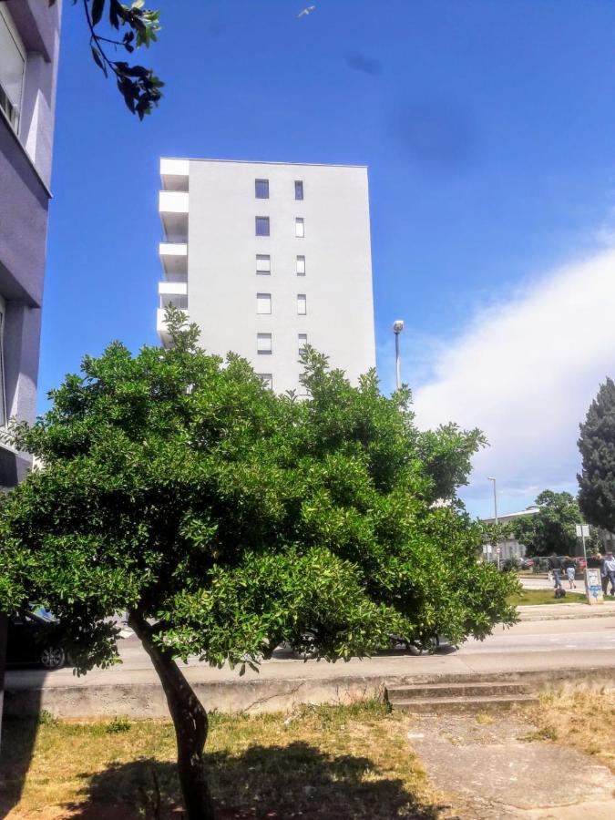 Studio Apartman Moonlight Zadar Dış mekan fotoğraf